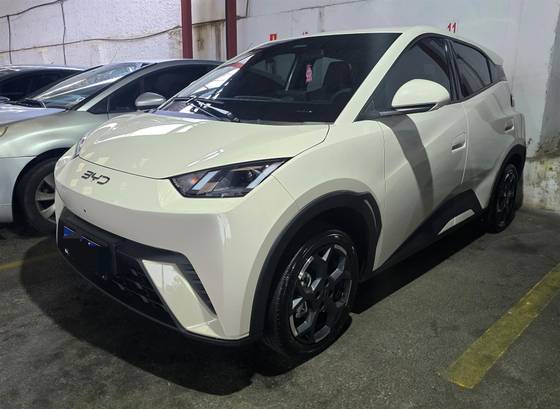 BYD DOLPHIN MINI 38 KW ELÉTRICO GS